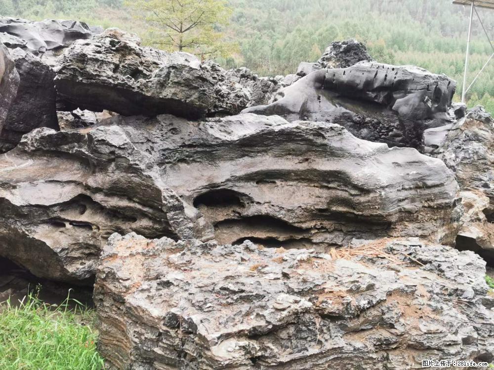 风景石、假山石大量有货，有需要的欢迎联系 - 新手上路 - 阳江生活社区 - 阳江28生活网 yj.28life.net