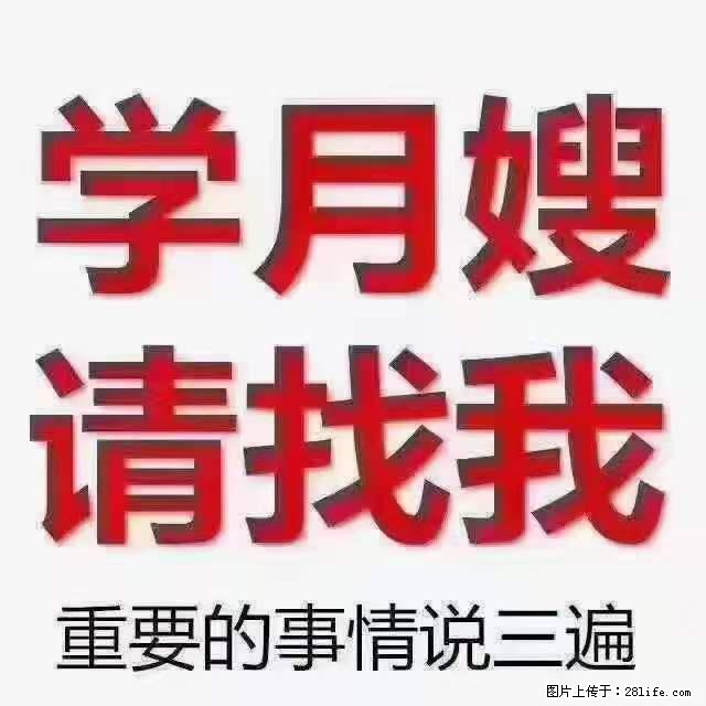 为什么要学习月嫂，育婴师？ - 新手上路 - 阳江生活社区 - 阳江28生活网 yj.28life.net