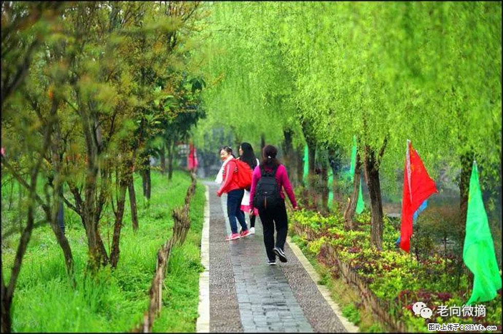 【春天，广西桂林灌阳县向您发出邀请！】江口老街又逢春 - 游山玩水 - 阳江生活社区 - 阳江28生活网 yj.28life.net