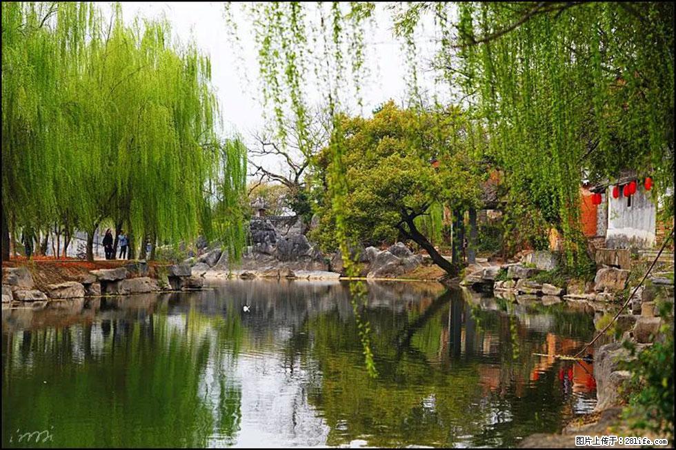 【春天，广西桂林灌阳县向您发出邀请！】江口老街又逢春 - 游山玩水 - 阳江生活社区 - 阳江28生活网 yj.28life.net