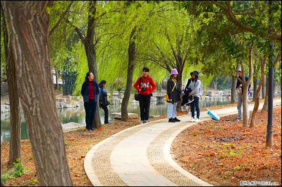 【春天，广西桂林灌阳县向您发出邀请！】江口老街又逢春 - 游山玩水 - 阳江生活社区 - 阳江28生活网 yj.28life.net