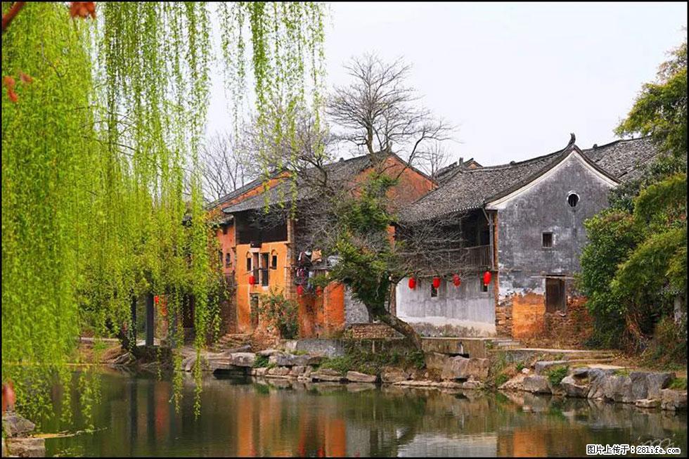 【春天，广西桂林灌阳县向您发出邀请！】江口老街又逢春 - 游山玩水 - 阳江生活社区 - 阳江28生活网 yj.28life.net