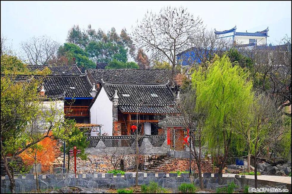 【春天，广西桂林灌阳县向您发出邀请！】江口老街又逢春 - 游山玩水 - 阳江生活社区 - 阳江28生活网 yj.28life.net