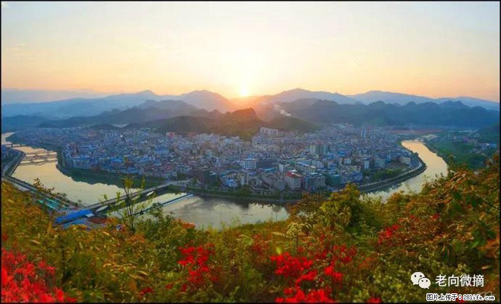 【春天，广西桂林灌阳县向您发出邀请！】登麒麟山，相约映山红 - 游山玩水 - 阳江生活社区 - 阳江28生活网 yj.28life.net