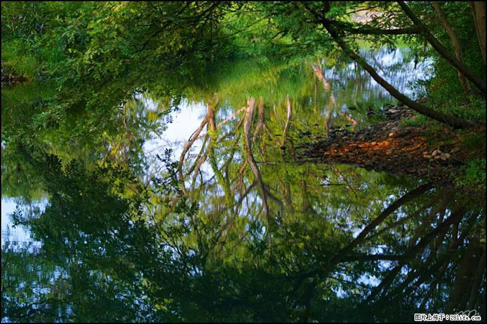 【春天，广西桂林灌阳县向您发出邀请！】熊家寨湿地公园 - 游山玩水 - 阳江生活社区 - 阳江28生活网 yj.28life.net