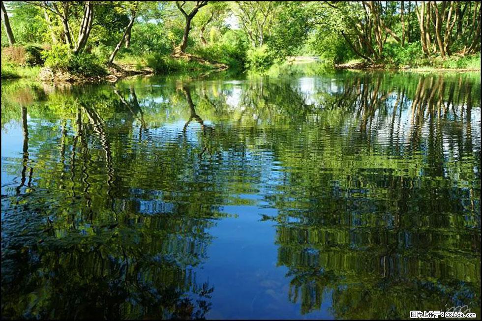 【春天，广西桂林灌阳县向您发出邀请！】熊家寨湿地公园 - 游山玩水 - 阳江生活社区 - 阳江28生活网 yj.28life.net