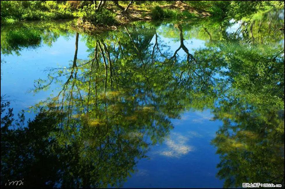 【春天，广西桂林灌阳县向您发出邀请！】熊家寨湿地公园 - 游山玩水 - 阳江生活社区 - 阳江28生活网 yj.28life.net