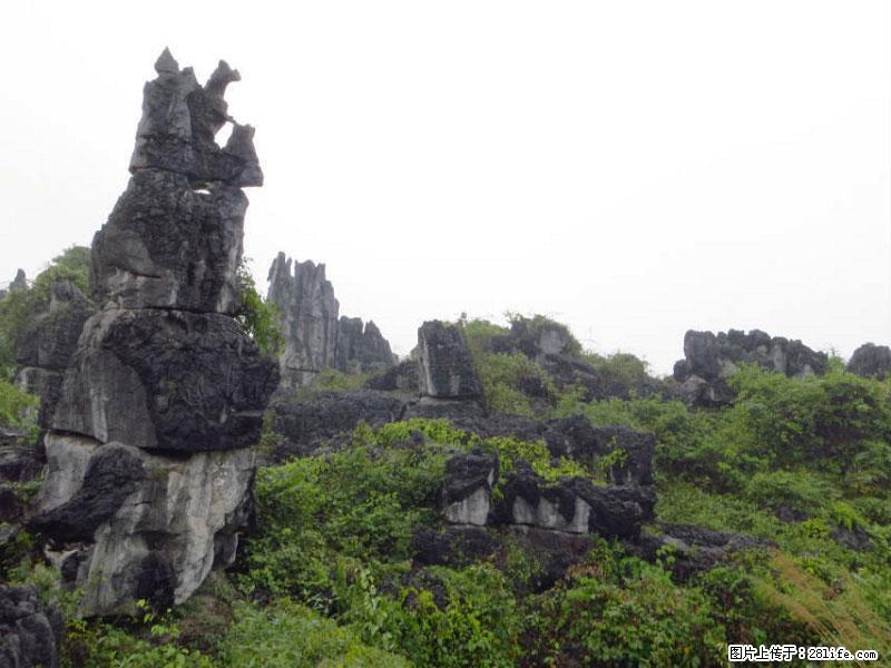 桂林旅游名城景点：灌阳文市石林 - 游山玩水 - 阳江生活社区 - 阳江28生活网 yj.28life.net