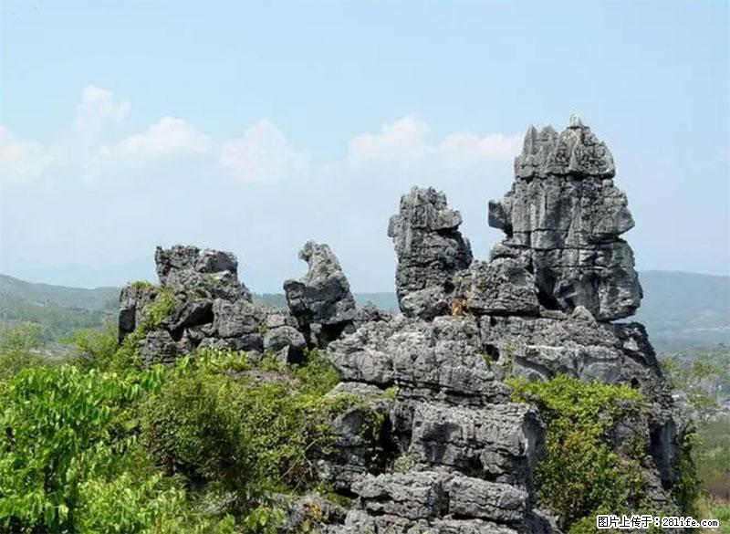 桂林旅游名城景点：灌阳文市石林 - 游山玩水 - 阳江生活社区 - 阳江28生活网 yj.28life.net