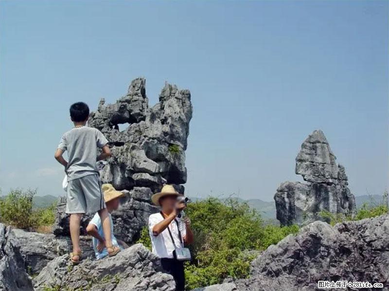 桂林旅游名城景点：灌阳文市石林 - 游山玩水 - 阳江生活社区 - 阳江28生活网 yj.28life.net