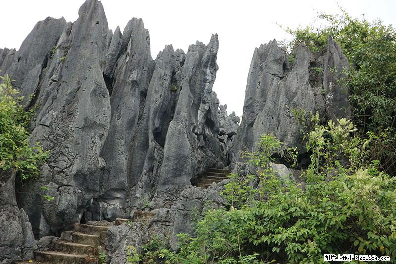 桂林旅游名城景点：灌阳文市石林 - 游山玩水 - 阳江生活社区 - 阳江28生活网 yj.28life.net