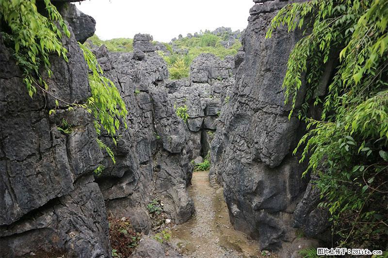 桂林旅游名城景点：灌阳文市石林 - 游山玩水 - 阳江生活社区 - 阳江28生活网 yj.28life.net