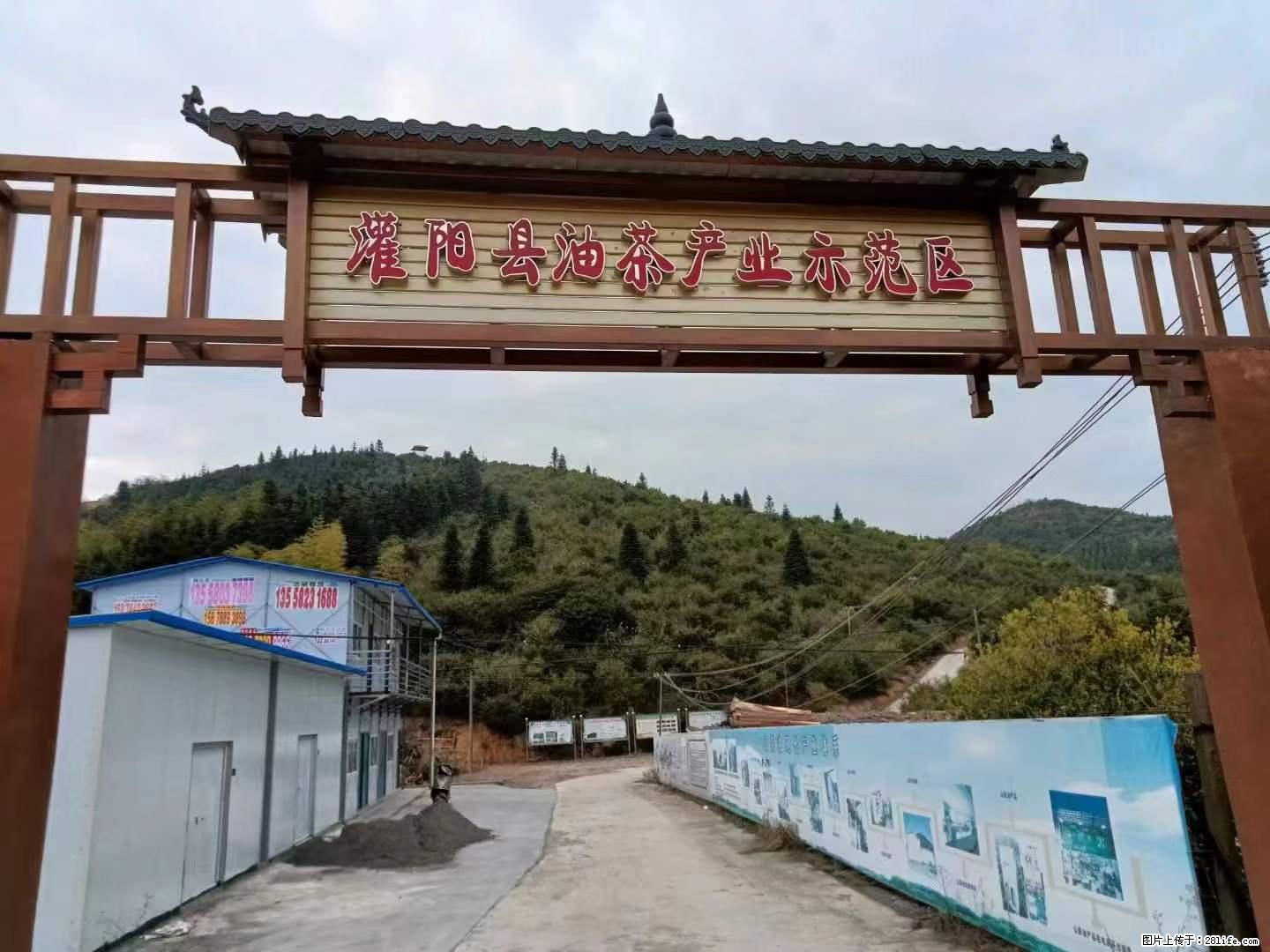 【灌阳县油茶产业示范区】一个有着充实的精神生活的人，对待身外之物自会有一种淡泊的态度 - 美食天地 - 阳江生活社区 - 阳江28生活网 yj.28life.net