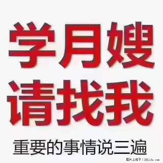 为什么要学习月嫂，育婴师？ - 阳江28生活网 yj.28life.net