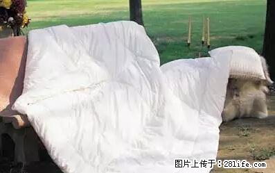 被子有异味？只要这样做，比晒太阳还强100倍！ - 家居生活 - 阳江生活社区 - 阳江28生活网 yj.28life.net