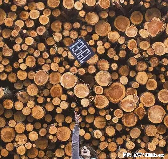 辞掉工作周游世界？现在他们在洗厕所…… - 游山玩水 - 阳江生活社区 - 阳江28生活网 yj.28life.net