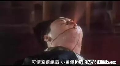 笑癫了！一女的怀孕三年未生，他终于忍不住了... - 娱乐八卦 - 阳江生活社区 - 阳江28生活网 yj.28life.net