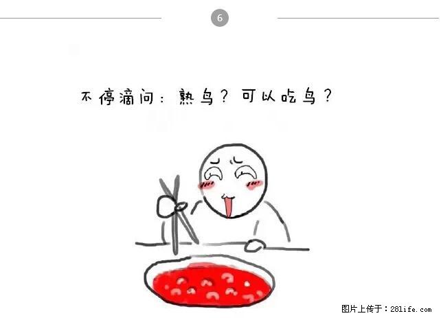 千万不要和这9种哈卵一起吃火锅！ - 美食天地 - 阳江生活社区 - 阳江28生活网 yj.28life.net