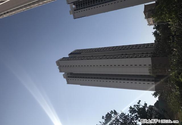 图片真实，中珠在水一方，全新两房出租 - 房屋出租 - 房屋租售 - 阳江分类信息 - 阳江28生活网 yj.28life.net