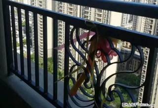 (单间出租)恒大名都 全新装修未住过 家电 齐全 小区设施齐全 - 阳江28生活网 yj.28life.net