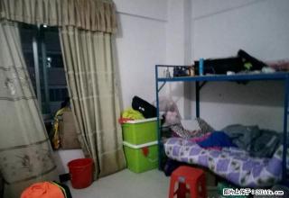 低层两房，家电齐全，租金平宜，价格美丽，值得租 - 阳江28生活网 yj.28life.net