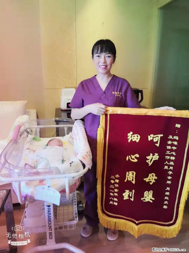 上海高端月子会所招新手月嫂，零基础带教，包吃住 - 职场交流 - 阳江生活社区 - 阳江28生活网 yj.28life.net