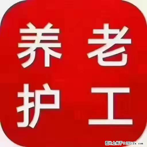 上海国企养老院，星级酒店环境，招聘养老护工 - 职场交流 - 阳江生活社区 - 阳江28生活网 yj.28life.net