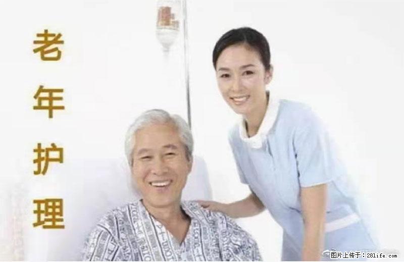 上海国企养老院，星级酒店环境，招聘养老护工 - 职场交流 - 阳江生活社区 - 阳江28生活网 yj.28life.net