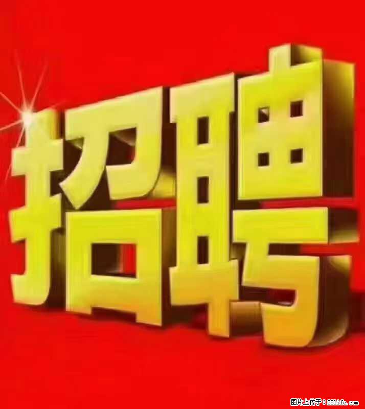 【东莞市威萨电子科技有限公司】公司直招：外贸业务、仓管员、跟单文员、普工 - 职场交流 - 阳江生活社区 - 阳江28生活网 yj.28life.net