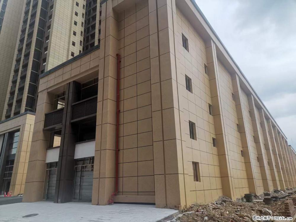 【广西三象建筑安装工程有限公司】外墙涂料工程 - 新手上路 - 阳江生活社区 - 阳江28生活网 yj.28life.net