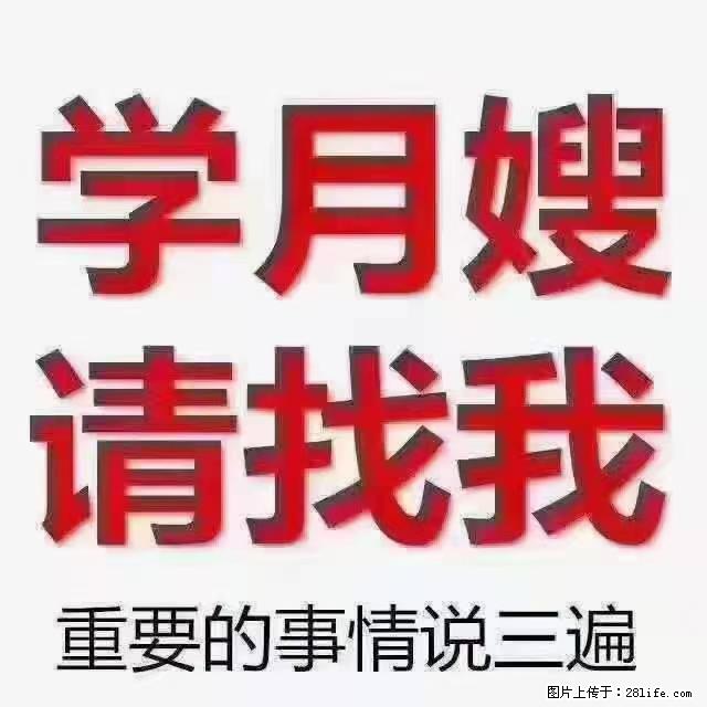 【招聘】月嫂，上海徐汇区 - 职场交流 - 阳江生活社区 - 阳江28生活网 yj.28life.net