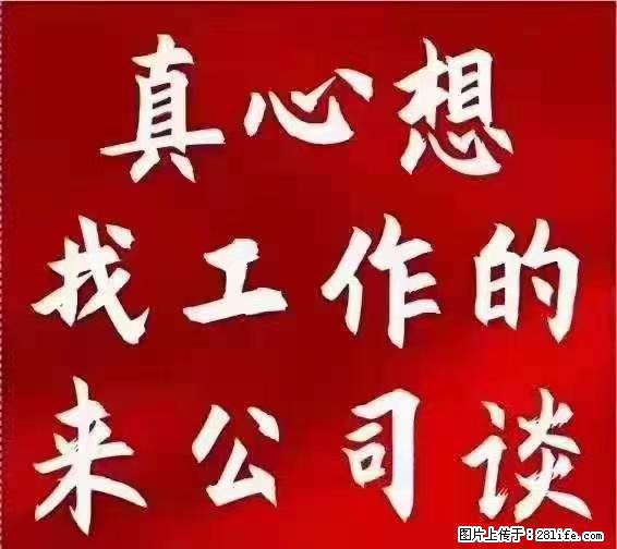 【上海】国企，医院招两名男保安，55岁以下，身高1.7米以上，无犯罪记录不良嗜好 - 职场交流 - 阳江生活社区 - 阳江28生活网 yj.28life.net