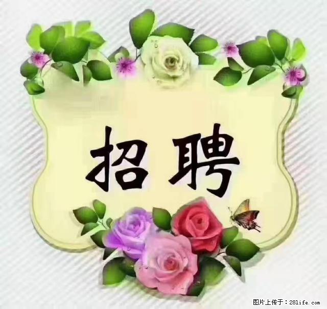 【招聘】住家育儿嫂，上户日期：4月4日，工作地址：上海 黄浦区 - 职场交流 - 阳江生活社区 - 阳江28生活网 yj.28life.net