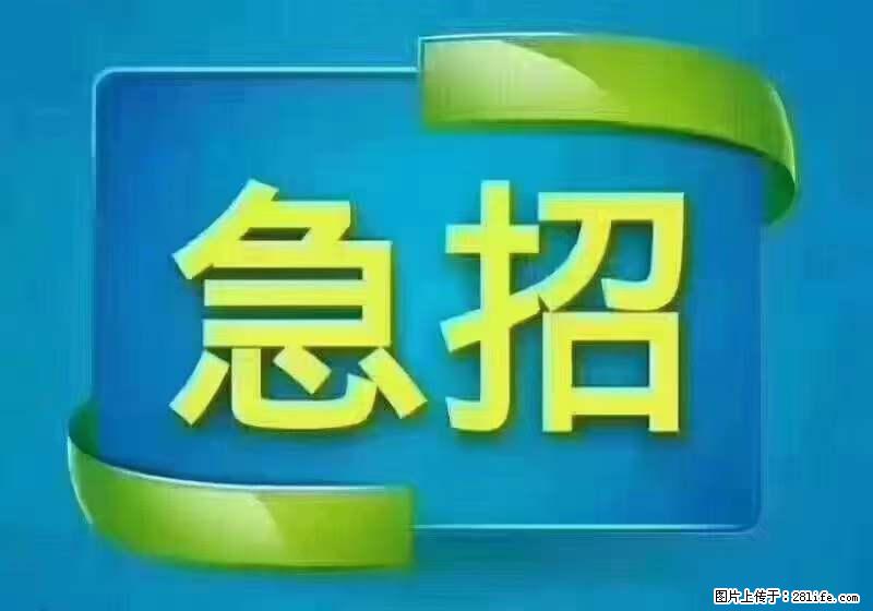 招财务，有会计证的，熟手会计1.1万底薪，上海五险一金，包住，包工作餐，做六休一 - 职场交流 - 阳江生活社区 - 阳江28生活网 yj.28life.net