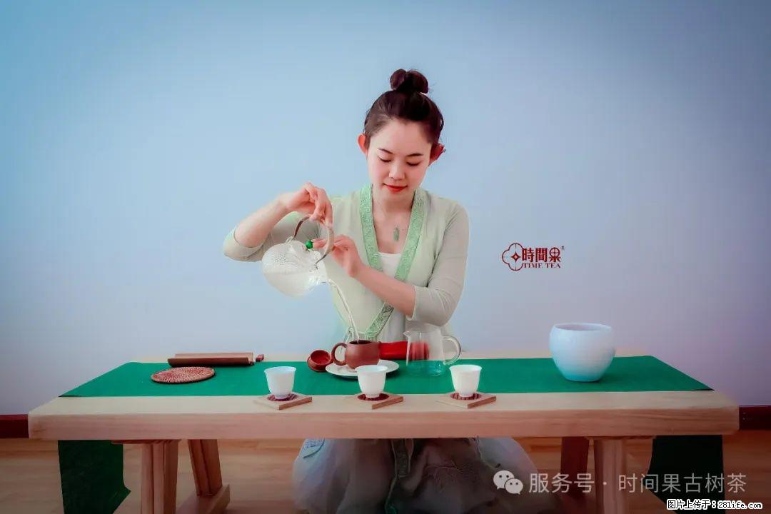 时间果百年古树龙珠普洱生茶 - 购物交流 - 阳江生活社区 - 阳江28生活网 yj.28life.net