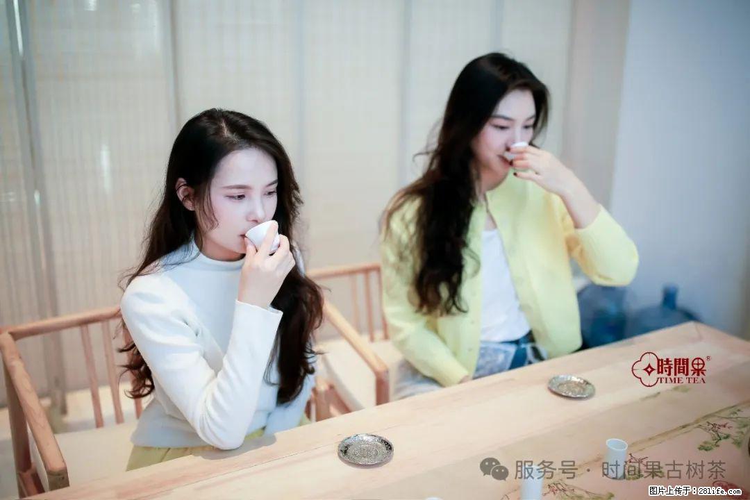 时间果百年古树龙珠普洱生茶 - 购物交流 - 阳江生活社区 - 阳江28生活网 yj.28life.net