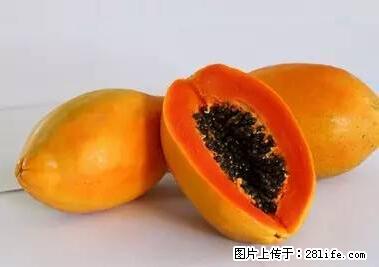 晕车、脚气、牙齿变黄、皮肤粗糙?学会这些三分钟搞定! - 阳江生活资讯 - 阳江28生活网 yj.28life.net