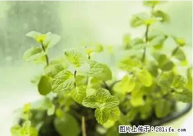 晕车、脚气、牙齿变黄、皮肤粗糙?学会这些三分钟搞定! - 阳江生活资讯 - 阳江28生活网 yj.28life.net
