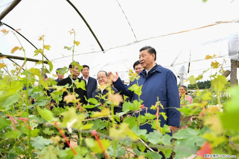 习近平赴广西考察调研 - 阳江生活资讯 - 阳江28生活网 yj.28life.net