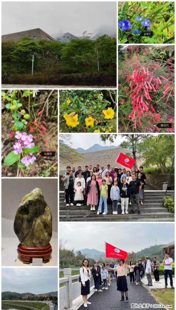“粤灌文化 美好生活”油茶文化主题活动在广东深圳成功举办 - 阳江生活资讯 - 阳江28生活网 yj.28life.net