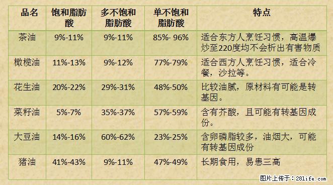 揭秘茶油的5大核心营养成分！被称为人体健康的“守护盾”！ - 阳江生活资讯 - 阳江28生活网 yj.28life.net