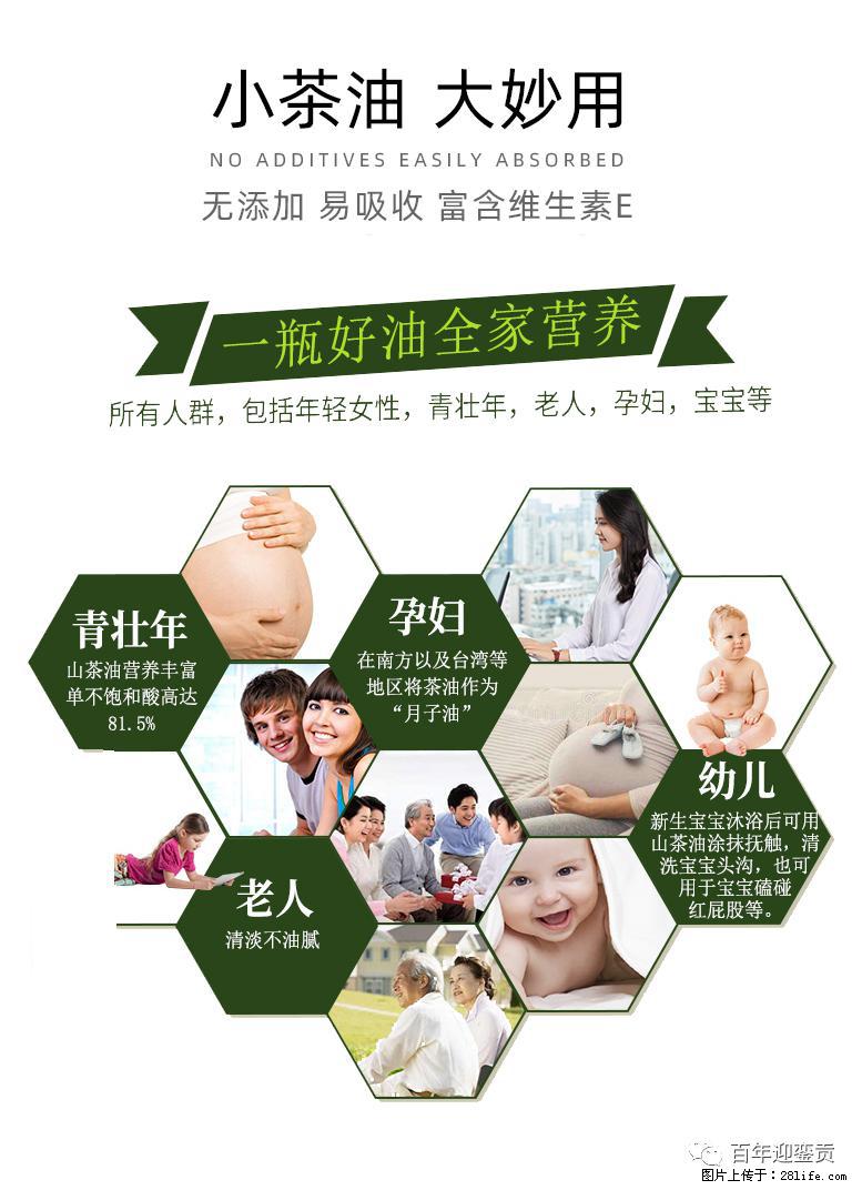 世界没有真相，只有认知，最好的食用油是中国的山茶油！ - 阳江生活资讯 - 阳江28生活网 yj.28life.net
