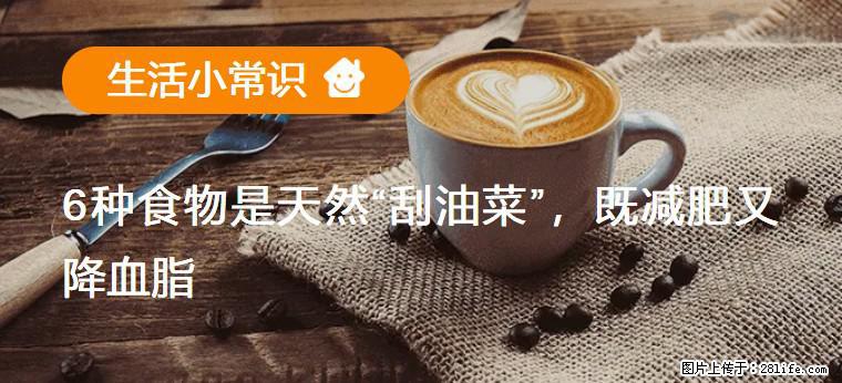 【生活小常识】6种食物是天然“刮油菜”，既减肥又降血脂 - 阳江生活资讯 - 阳江28生活网 yj.28life.net