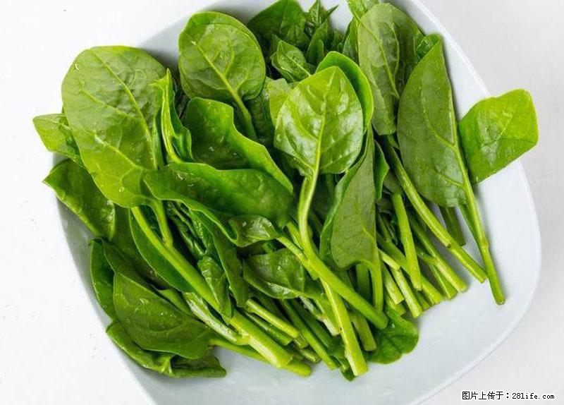 这些蔬菜是“天然钙片”，这6种被医生重点推荐 - 阳江生活资讯 - 阳江28生活网 yj.28life.net