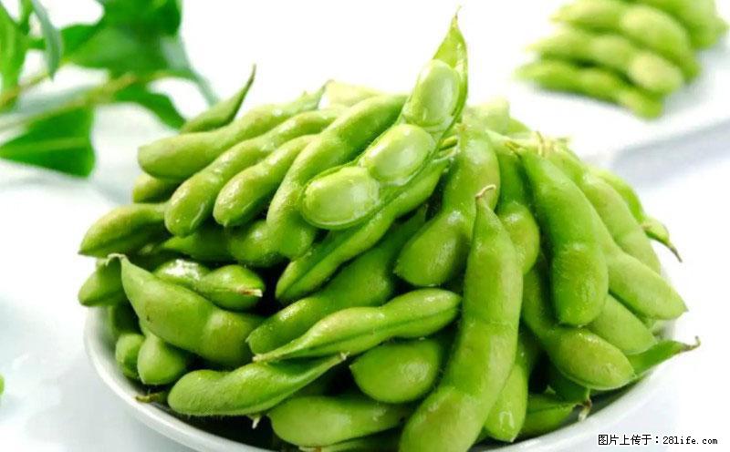 这些蔬菜是“天然钙片”，这6种被医生重点推荐 - 阳江生活资讯 - 阳江28生活网 yj.28life.net