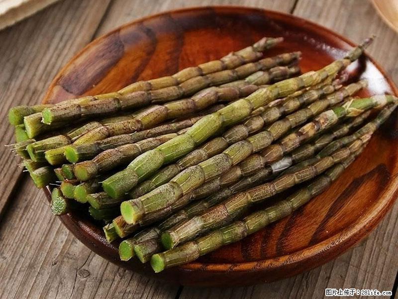 铁皮石斛的作用与功能主治 - 阳江生活资讯 - 阳江28生活网 yj.28life.net