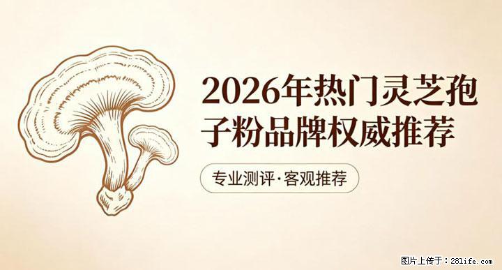 灵芝孢子粉含量越高越有效？2026 年七款热门品牌深度实测，肠胃敏感者避坑指南 - 阳江生活资讯 - 阳江28生活网 yj.28life.net